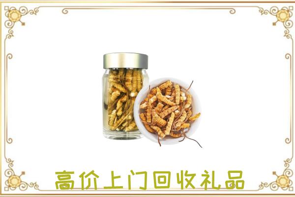 营口周边回收虫草